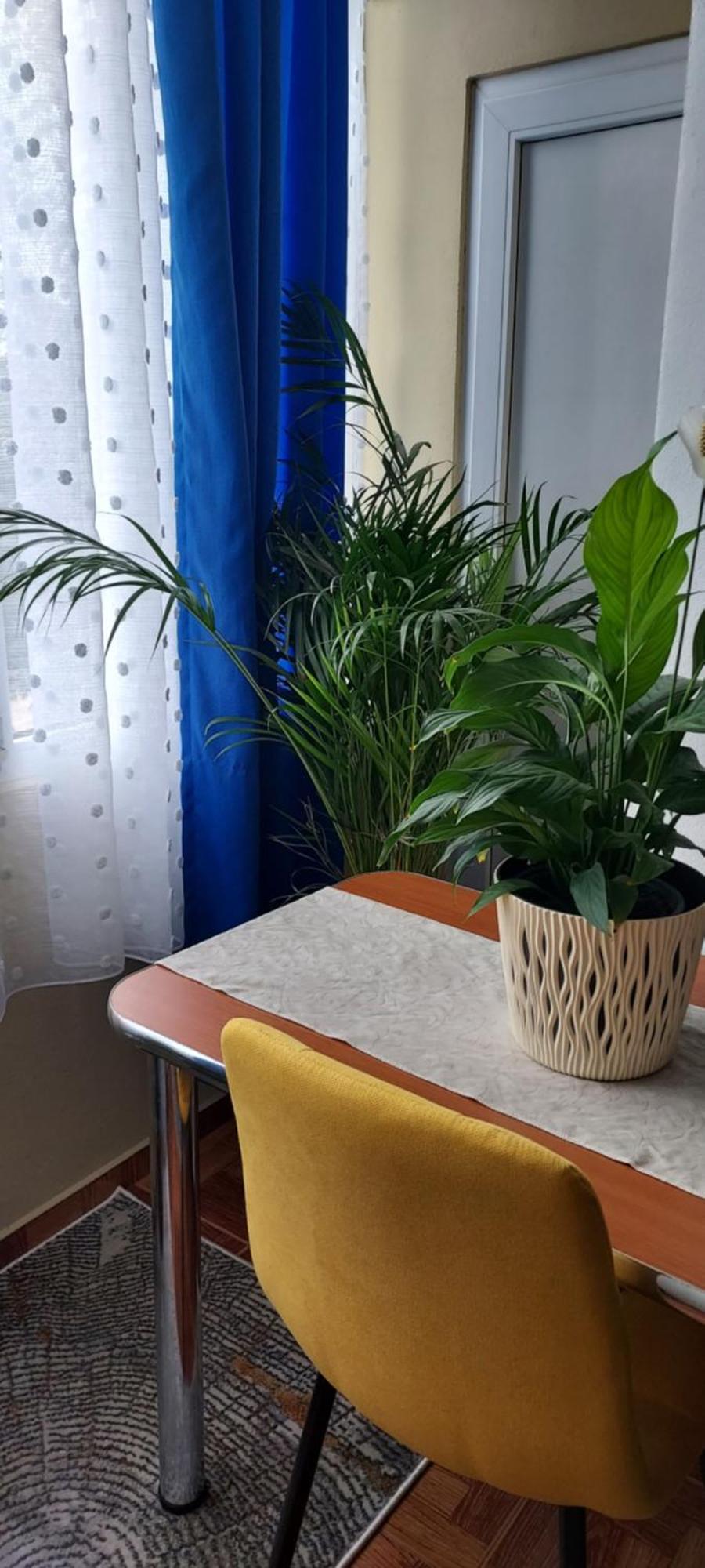 Apartament Gara Mica Apartment Арад Екстериор снимка
